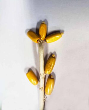 Opt-19 -beads tassel